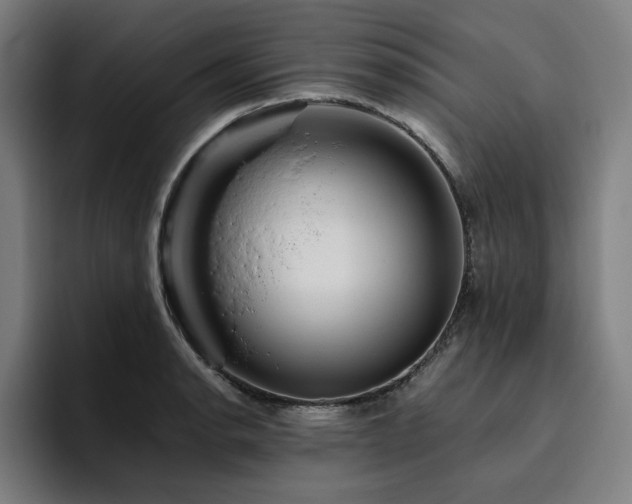 X0000094781134200711161410