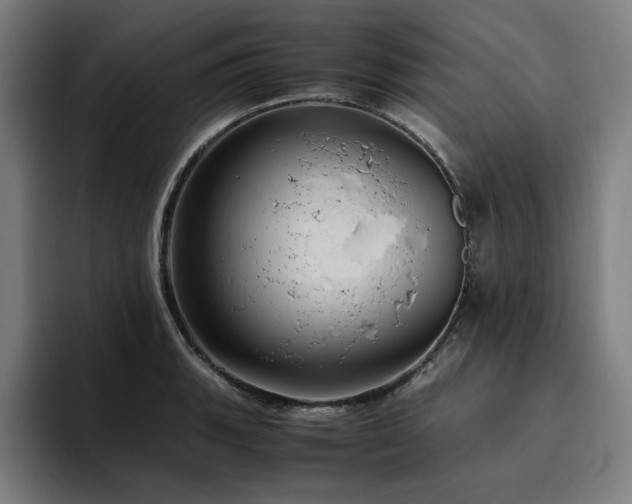 X0000094781135200711161410
