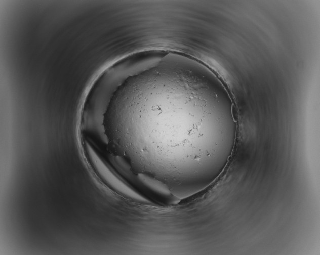 X0000094781136200711161410
