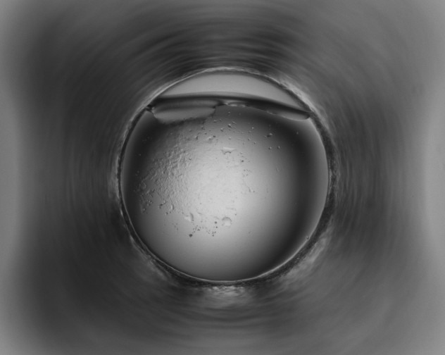 X0000094781137200711161410