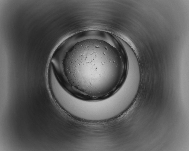 X0000094781138200711161410