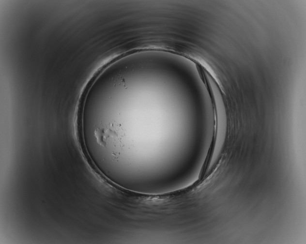 X0000094781139200711161411