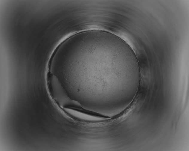 X0000094781142200711161411