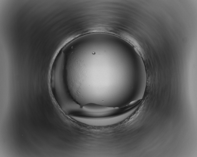 X0000094781146200711161411