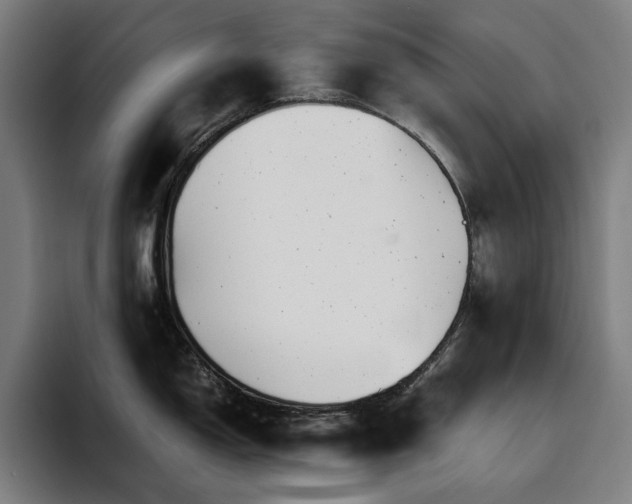X0000094781150200711161411