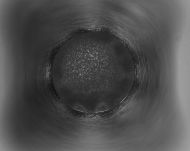 X0000094781154200711161410