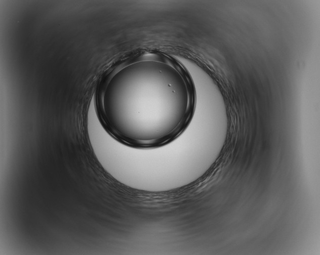 X0000094781156200711161410