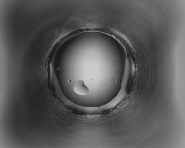 X0000094781160200711161410