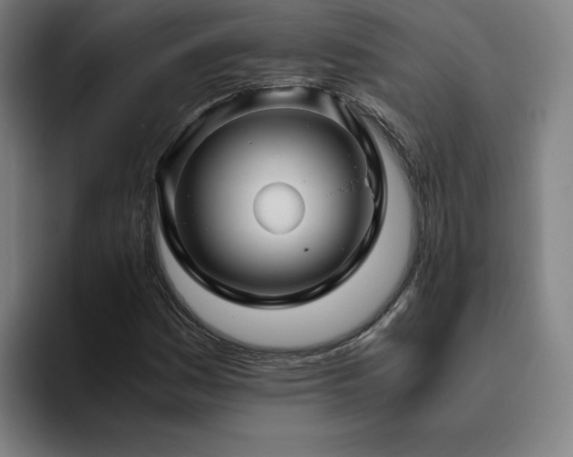 X0000094781161200711161410