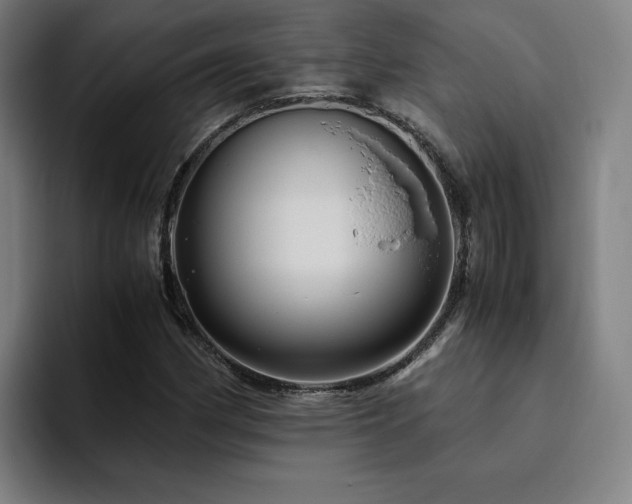 X0000094781162200711161410