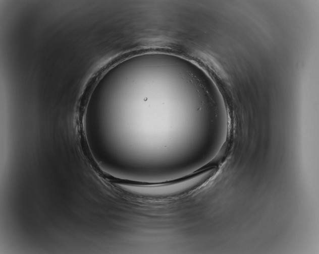 X0000094781164200711161410