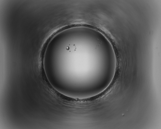 X0000094781167200711161410