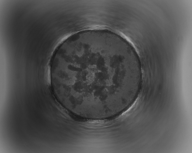 X0000094781171200711161410