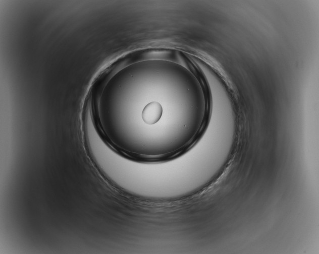 X0000094781176200711161410