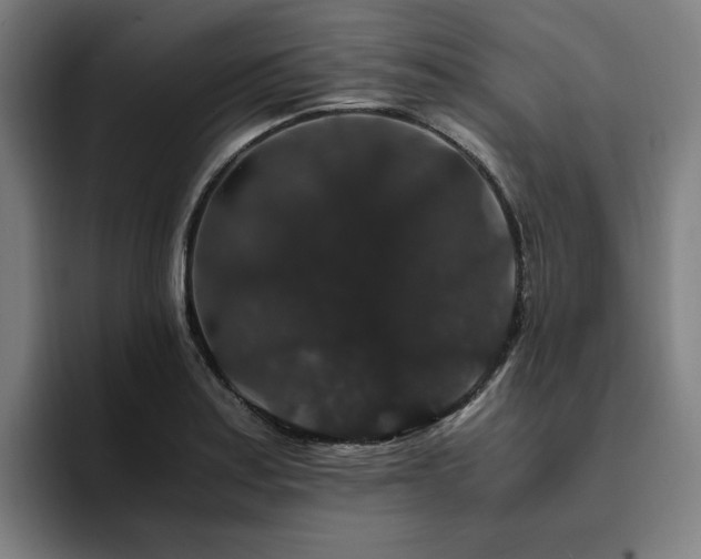 X0000094781179200711161410