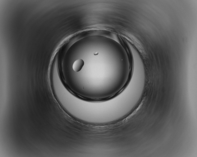 X0000094781180200711161410