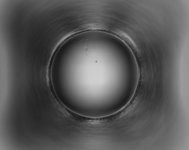 X0000094781182200711161410