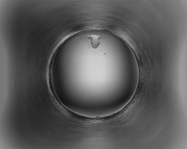 X0000094781187200711161410