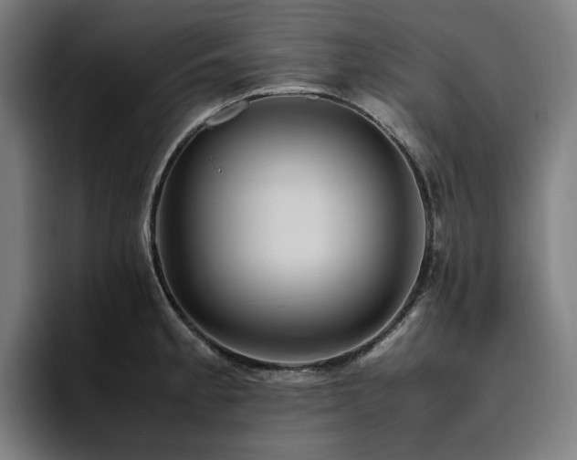 X0000094781189200711161410