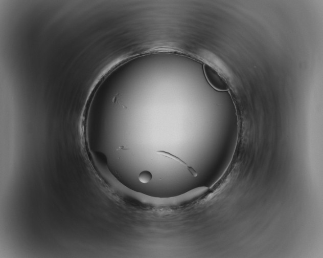 X0000094781190200711161410