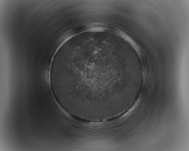 X0000094781194200711161410