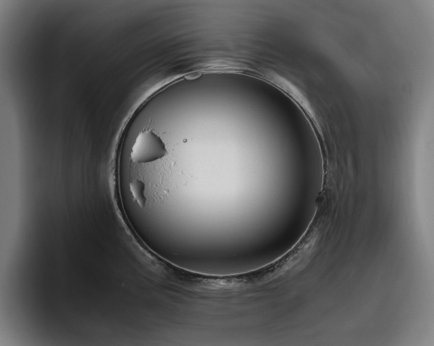 X0000094781195200711161410