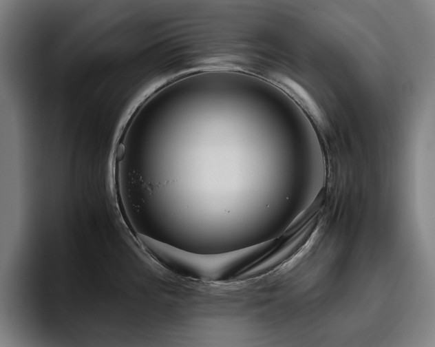X0000094781196200711161409