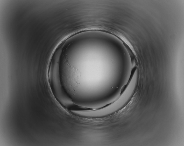 X0000094781197200711161409