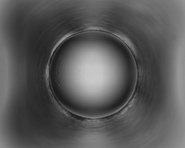 X0000094781198200711161409