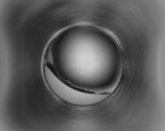 X0000094781199200711161409
