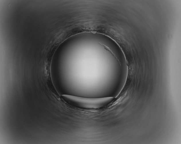 X0000094781202200711161409