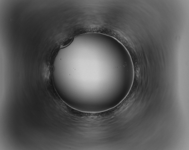 X0000094781204200711161409
