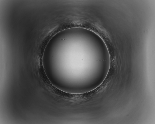 X0000094781205200711161409
