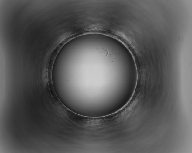 X0000094781211200711161409