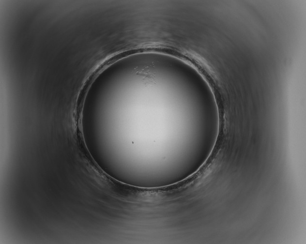 X0000094781212200711161409