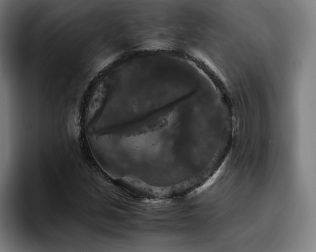 X0000094781213200711161409