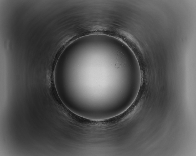 X0000094781217200711161409