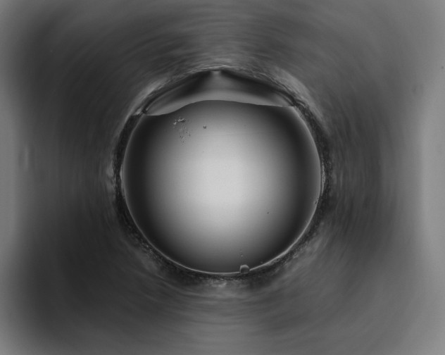 X0000094781218200711161409