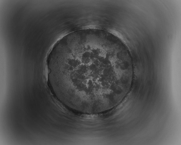 X0000094781219200711161409