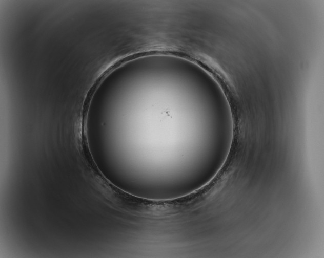 X0000094781220200711161409