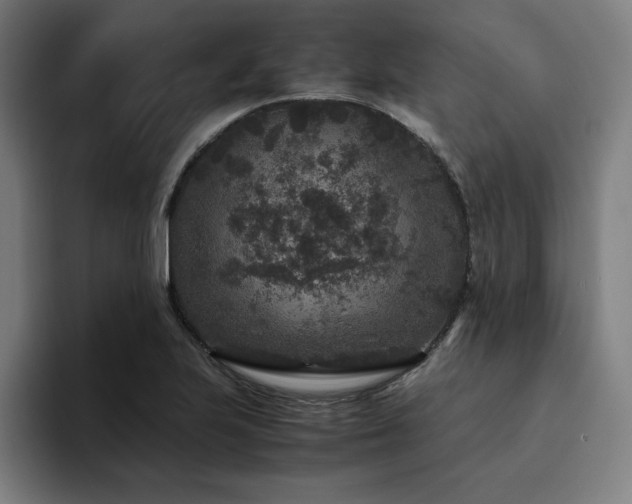 X0000094781223200711161409