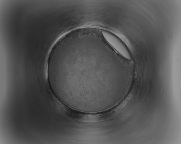 X0000094781224200711161409