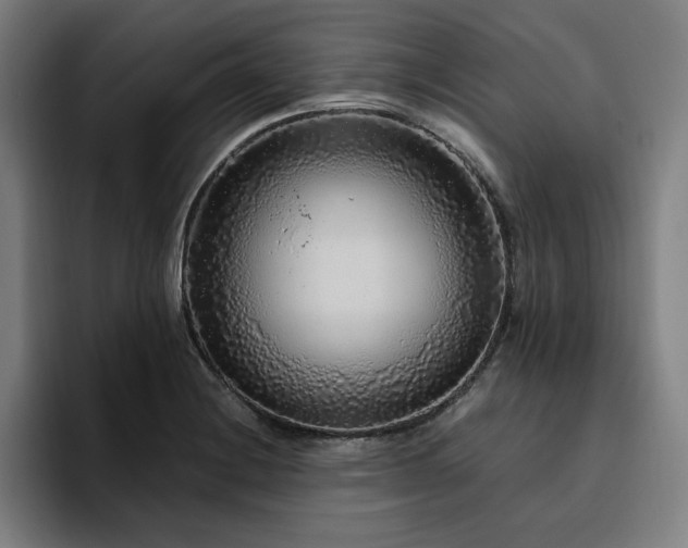 X0000094781228200711161409