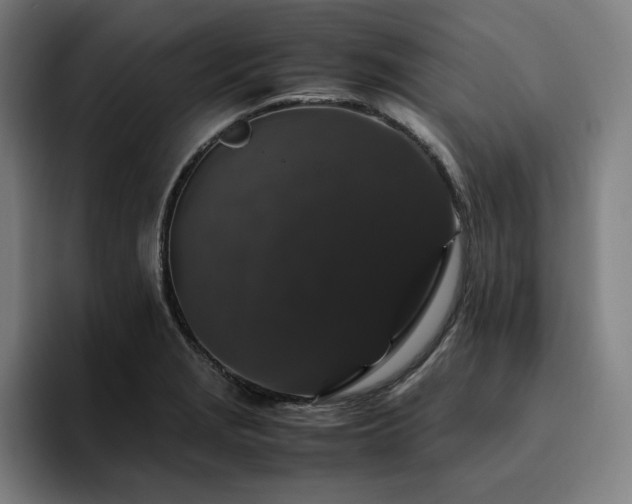 X0000094781229200711161409
