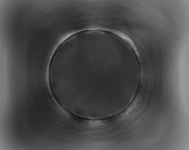 X0000094781231200711161409