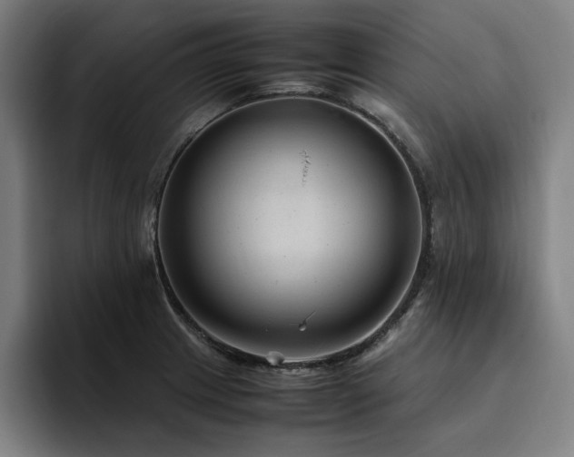 X0000094781233200711161409