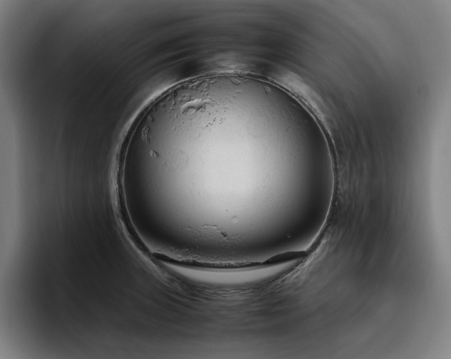 X0000094781235200711161409