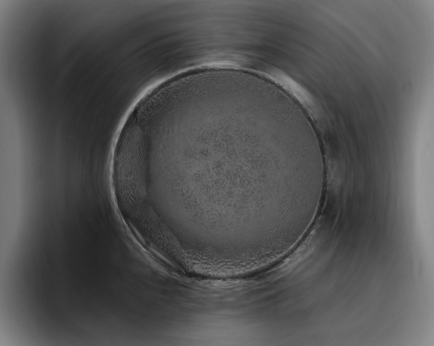 X0000094781240200711161409