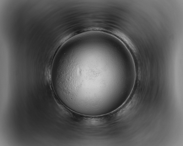X0000094781241200711161409