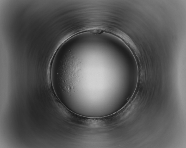X0000094781242200711161409